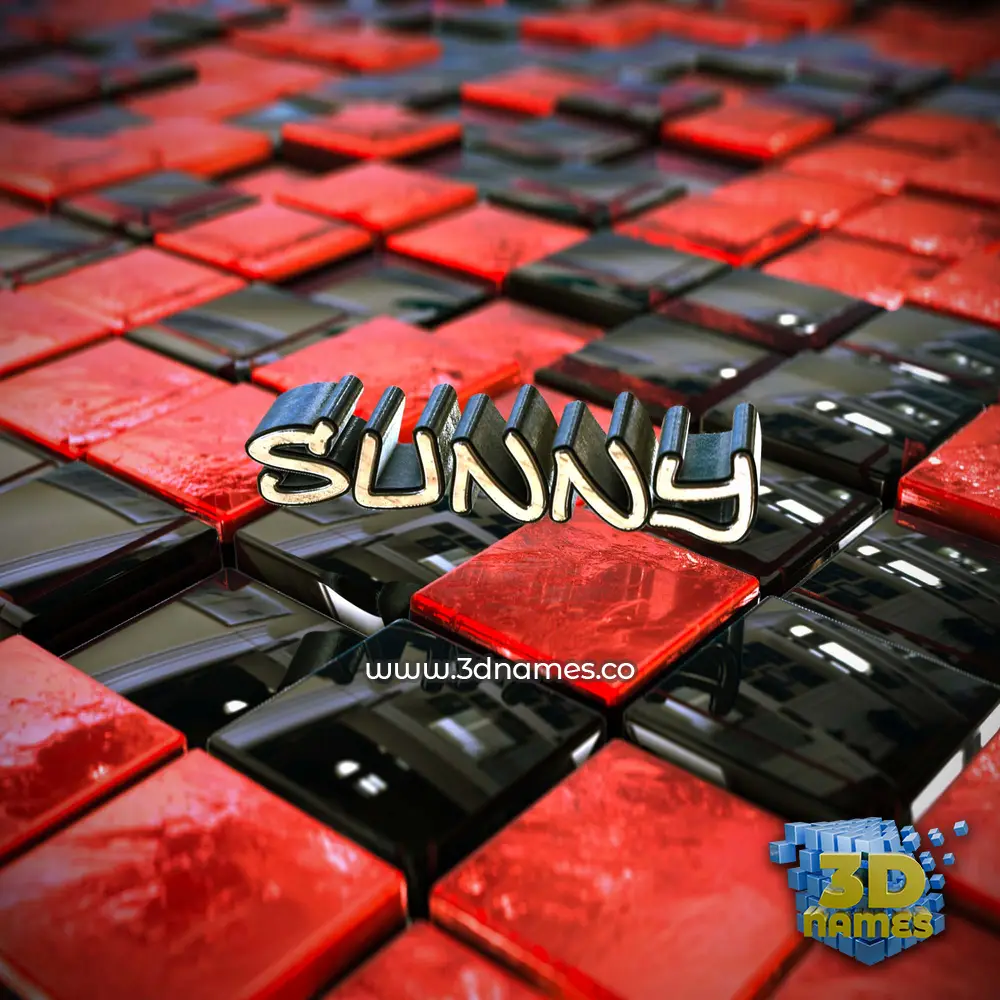 sunny in Red Checkered style - 3D name wallpaper