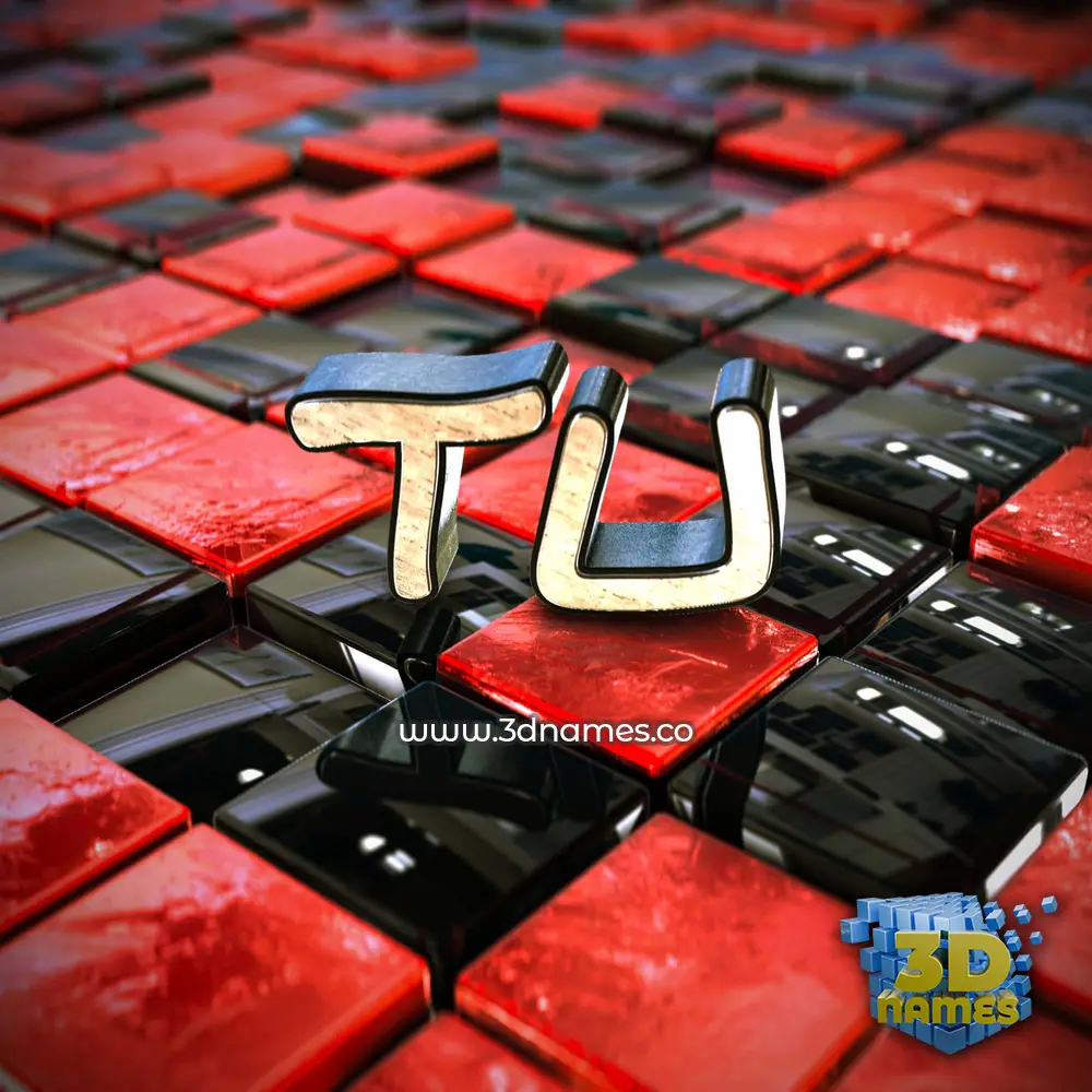 tu in Red Checkered style - 3D name wallpaper