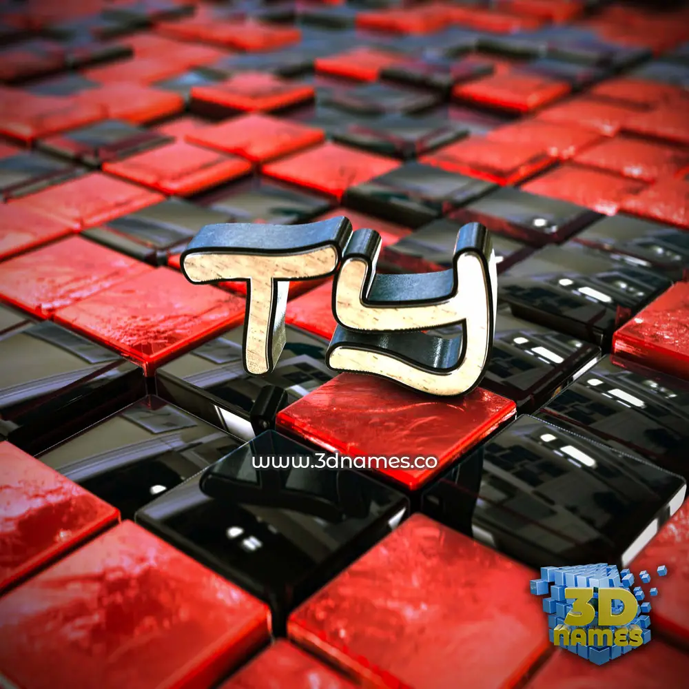 ty in Red Checkered style - 3D name wallpaper