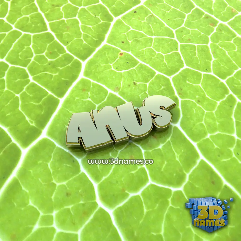 anus in Gold Leaf style - 3D name wallpaper