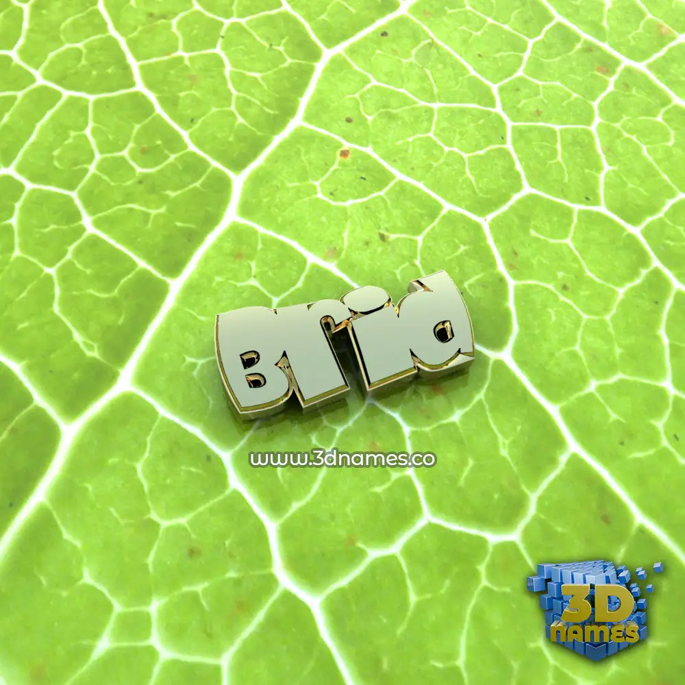 brid in Gold Leaf style - 3D name wallpaper