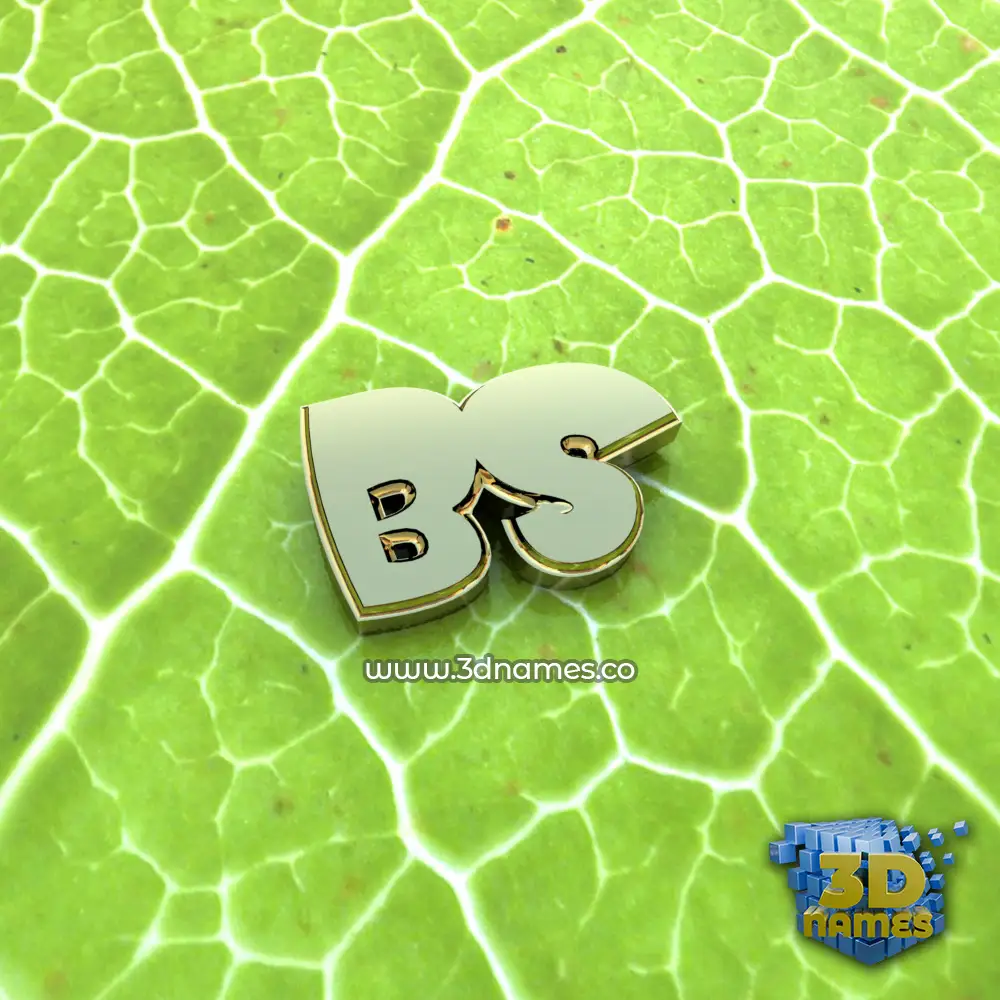 bs in Gold Leaf style - 3D name wallpaper