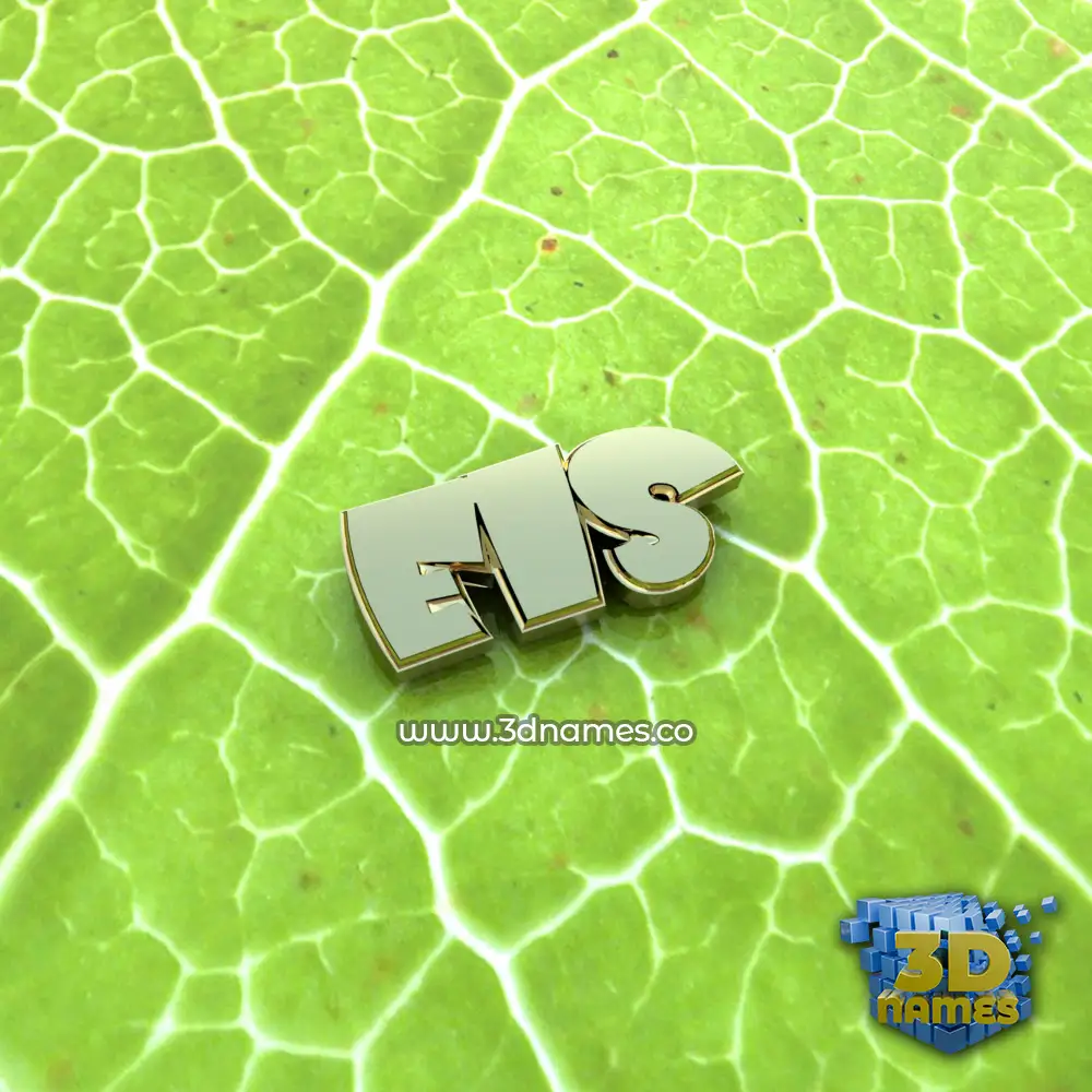 els in Gold Leaf style - 3D name wallpaper