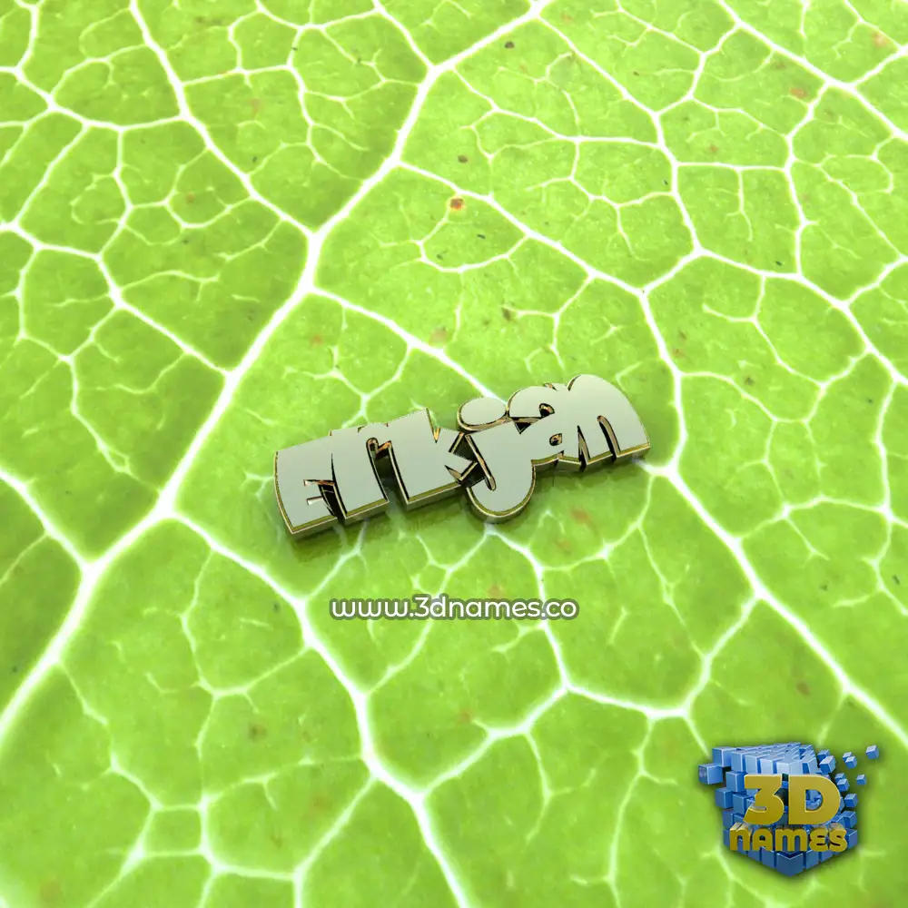 erkjan in Gold Leaf style - 3D name wallpaper