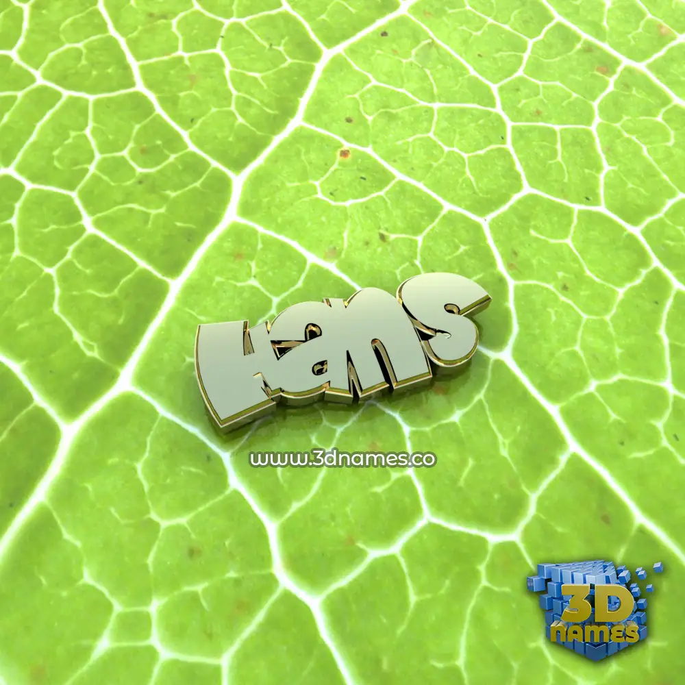 hans in Gold Leaf style - 3D name wallpaper