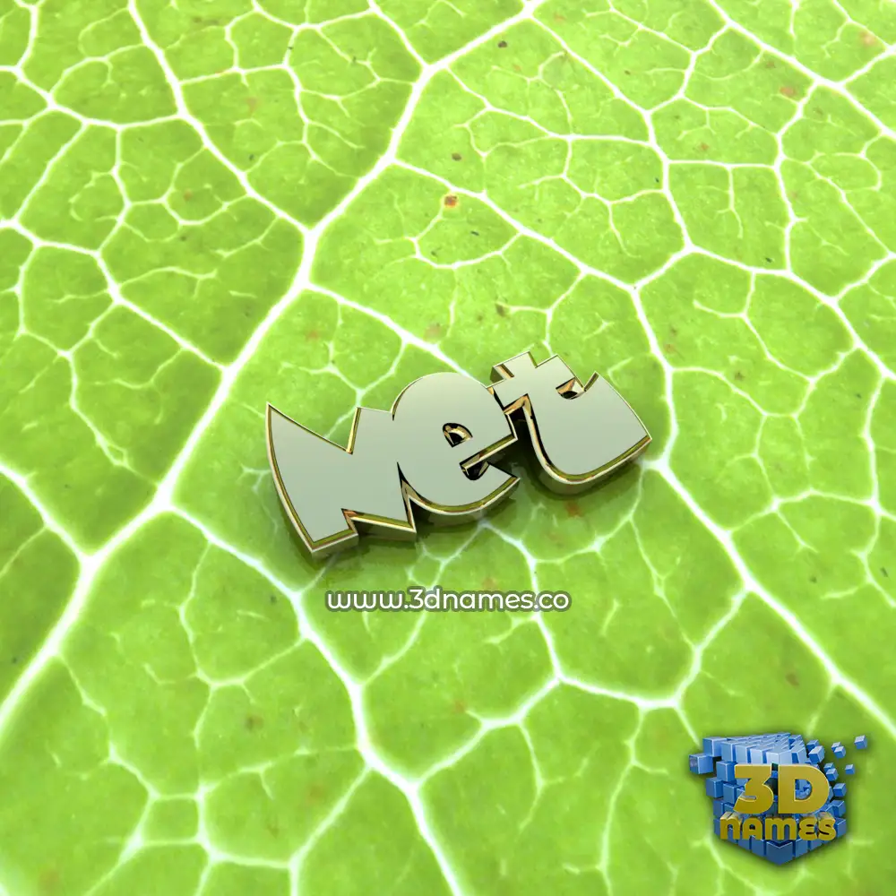 net in Gold Leaf style - 3D name wallpaper