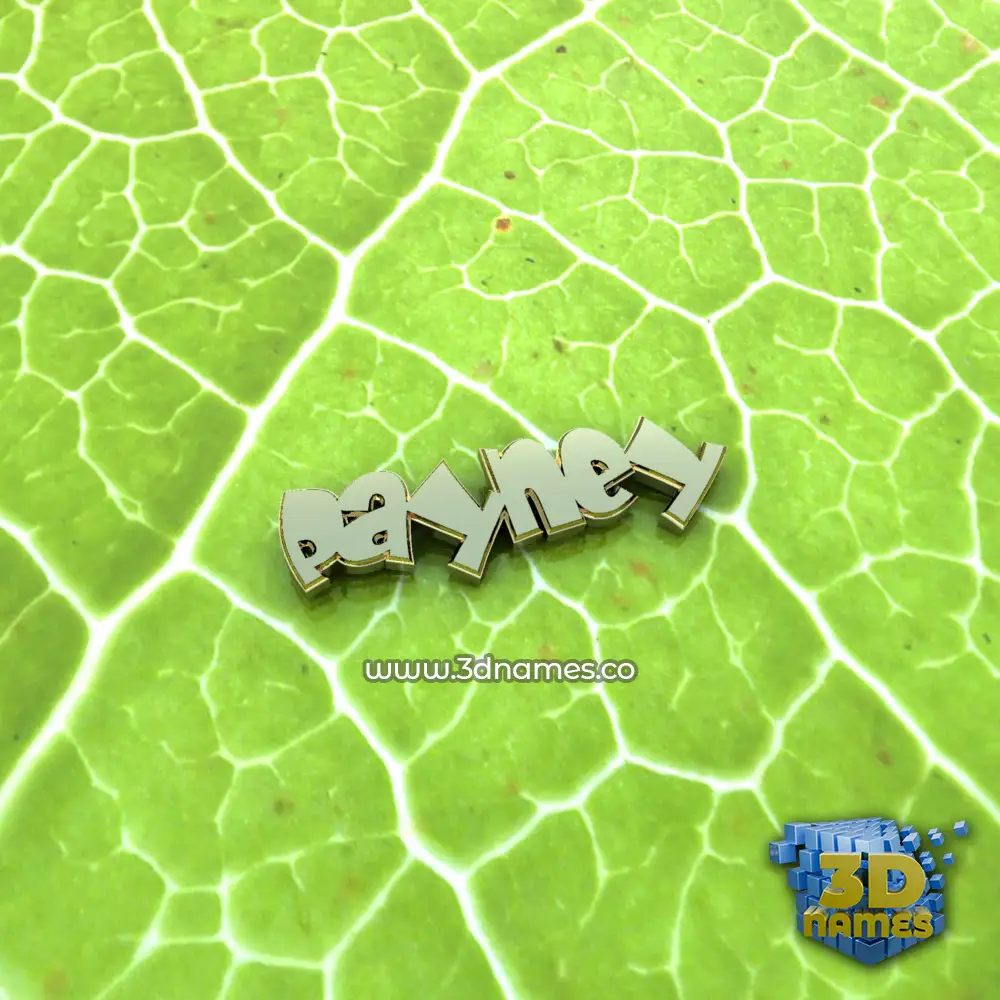 payney in Gold Leaf style - 3D name wallpaper
