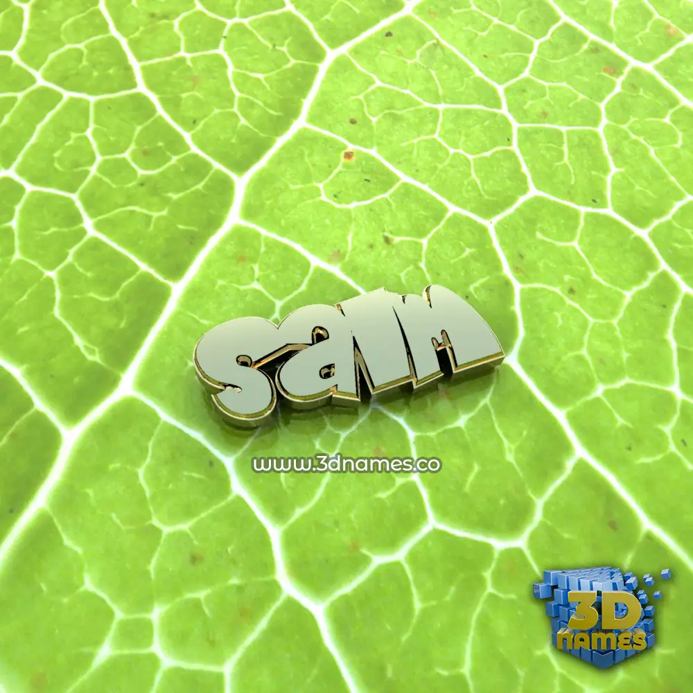 salm in Gold Leaf style - 3D name wallpaper