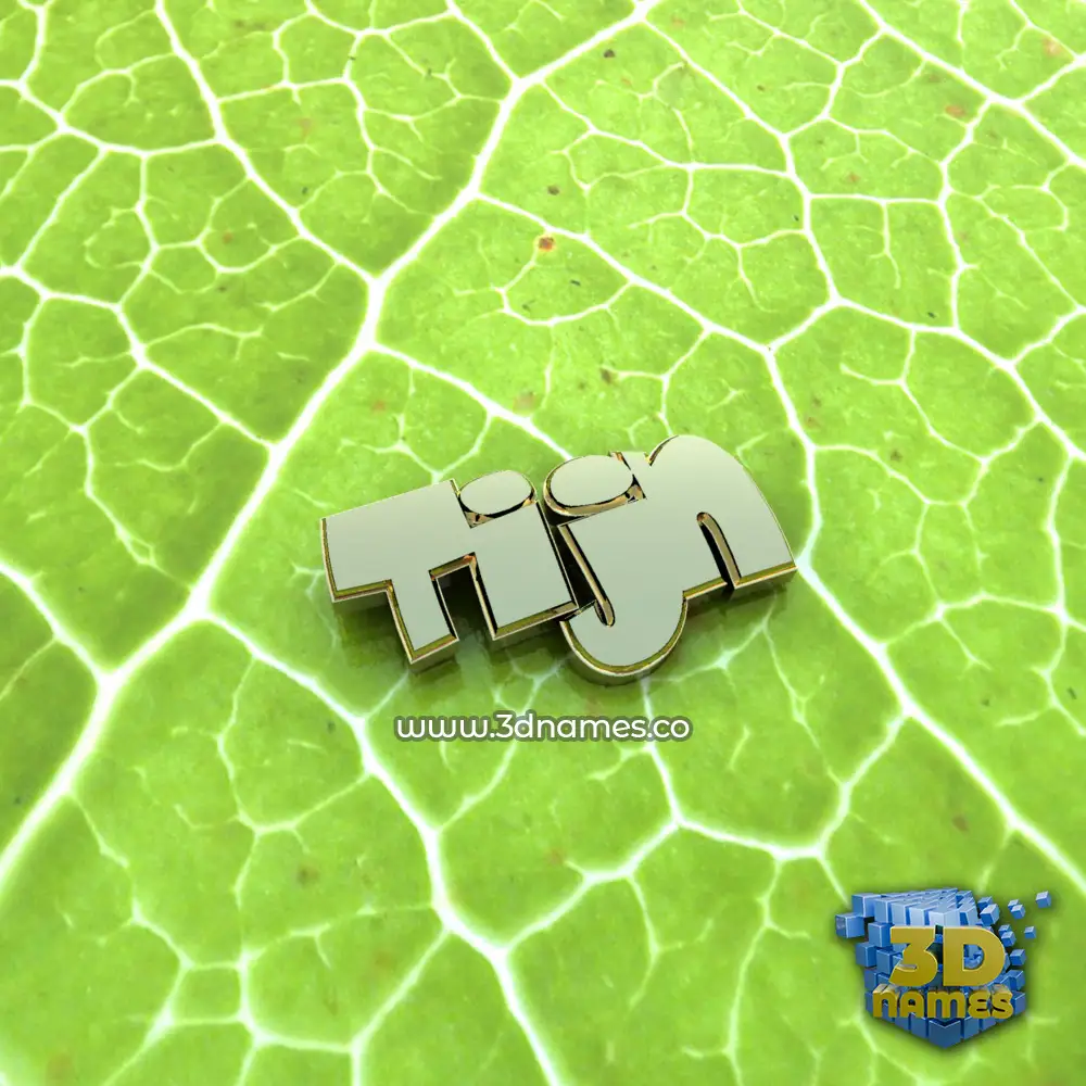 tijn in Gold Leaf style - 3D name wallpaper
