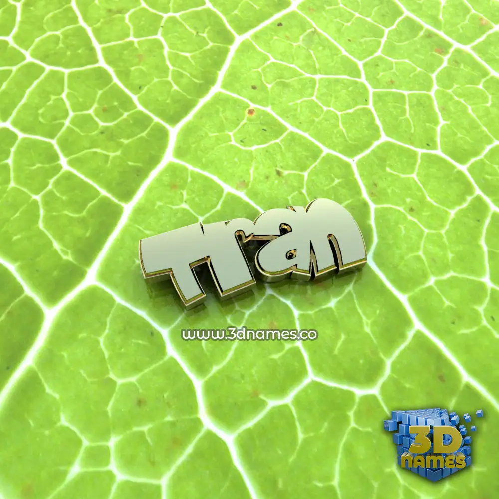 tran in Gold Leaf style - 3D name wallpaper