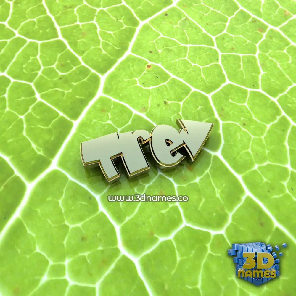 trev in Gold Leaf style - 3D name wallpaper