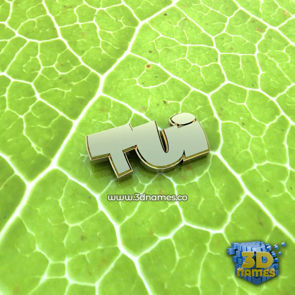 tui in Gold Leaf style - 3D name wallpaper