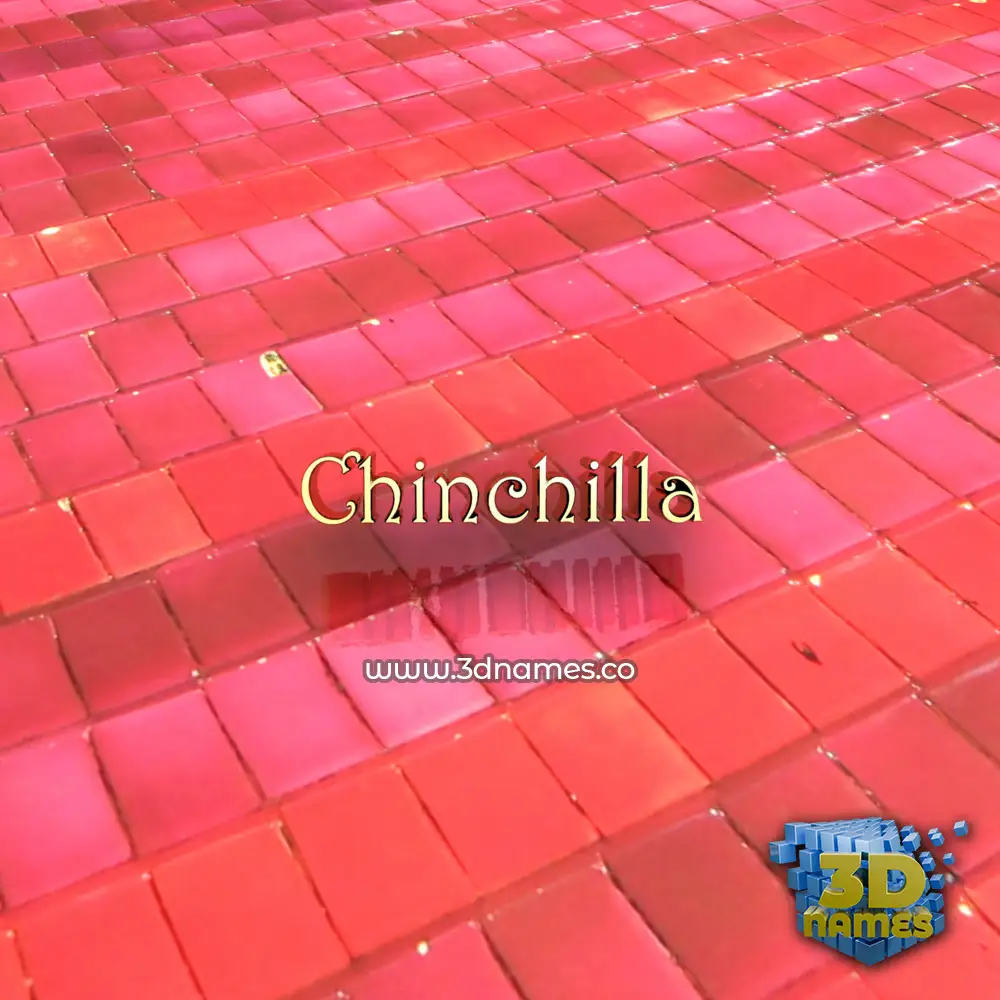 chinchilla in Red Tiles style - 3D name wallpaper