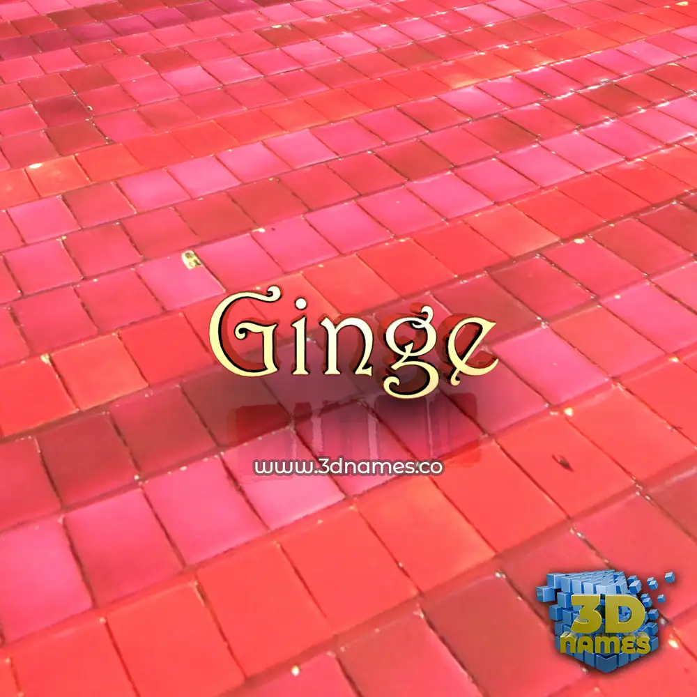 ginge in Red Tiles style - 3D name wallpaper