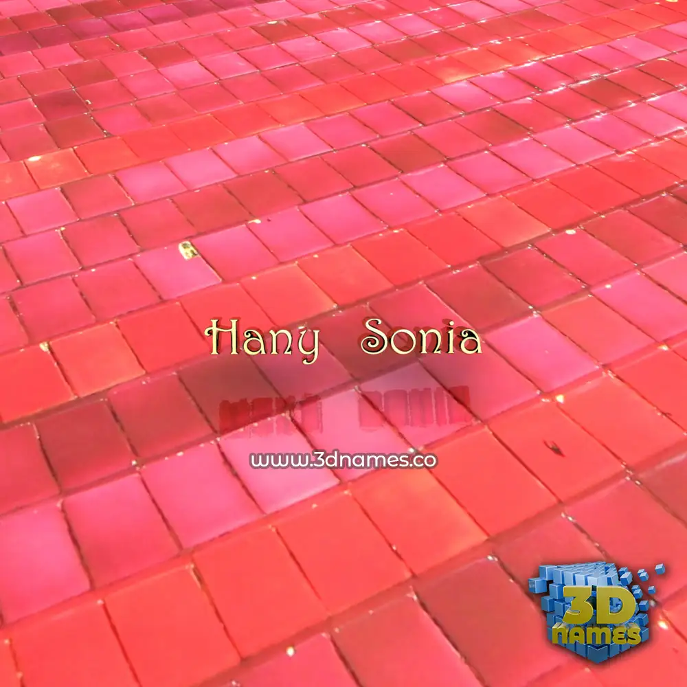 hany   sonia in Red Tiles style - 3D name wallpaper