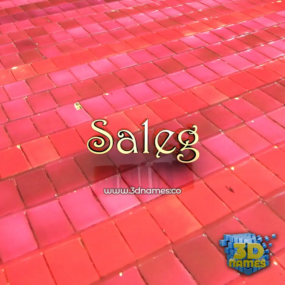 saleg in Red Tiles style - 3D name wallpaper