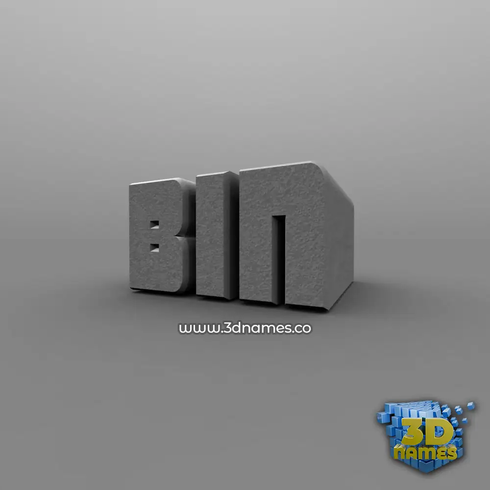 bin in Solid Grey style - 3D name wallpaper