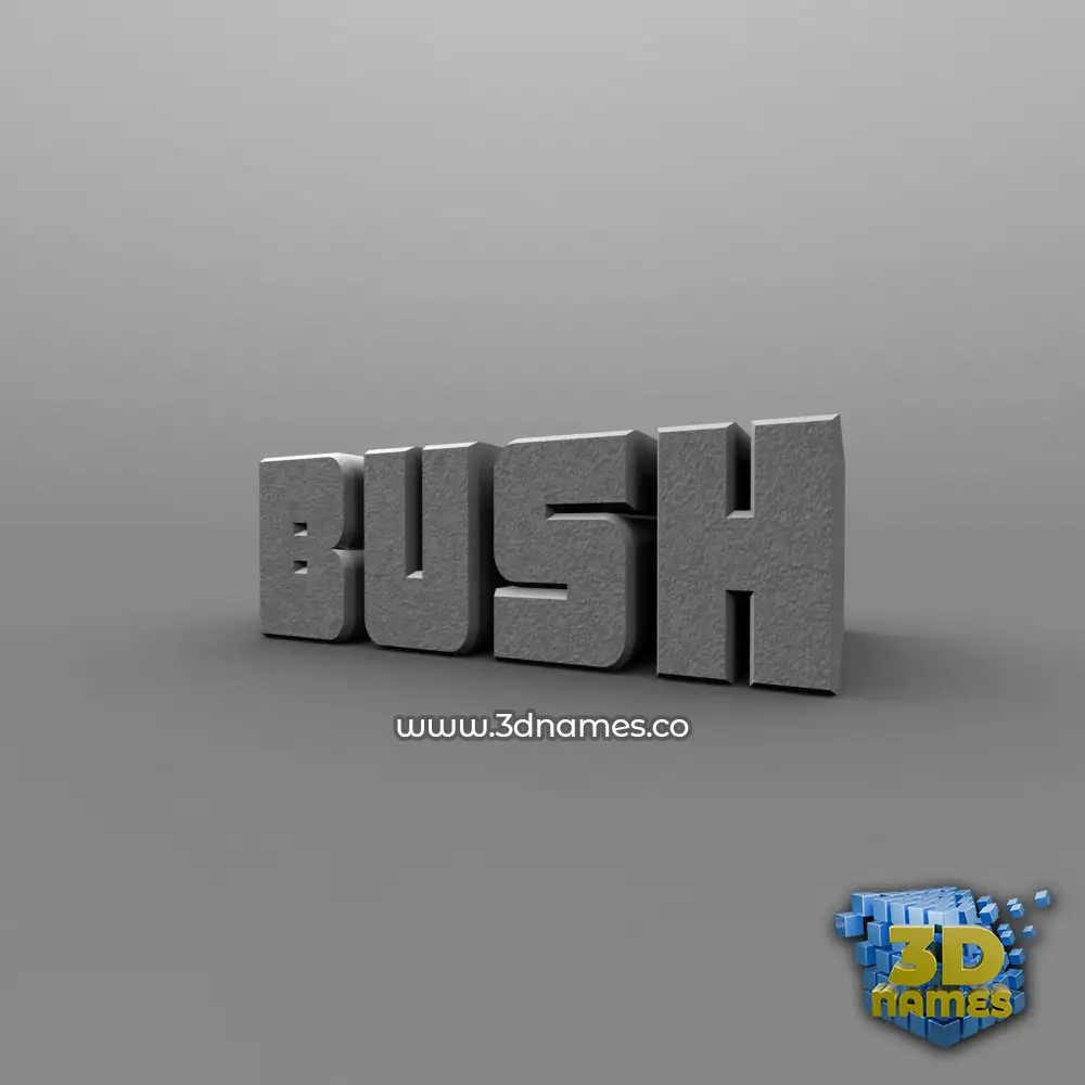 bush in Solid Grey style - 3D name wallpaper