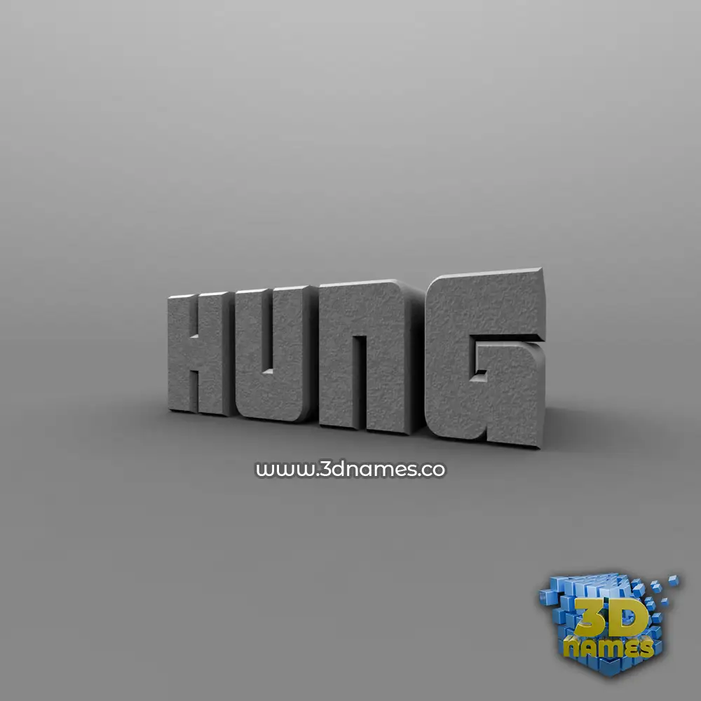 hung in Solid Grey style - 3D name wallpaper