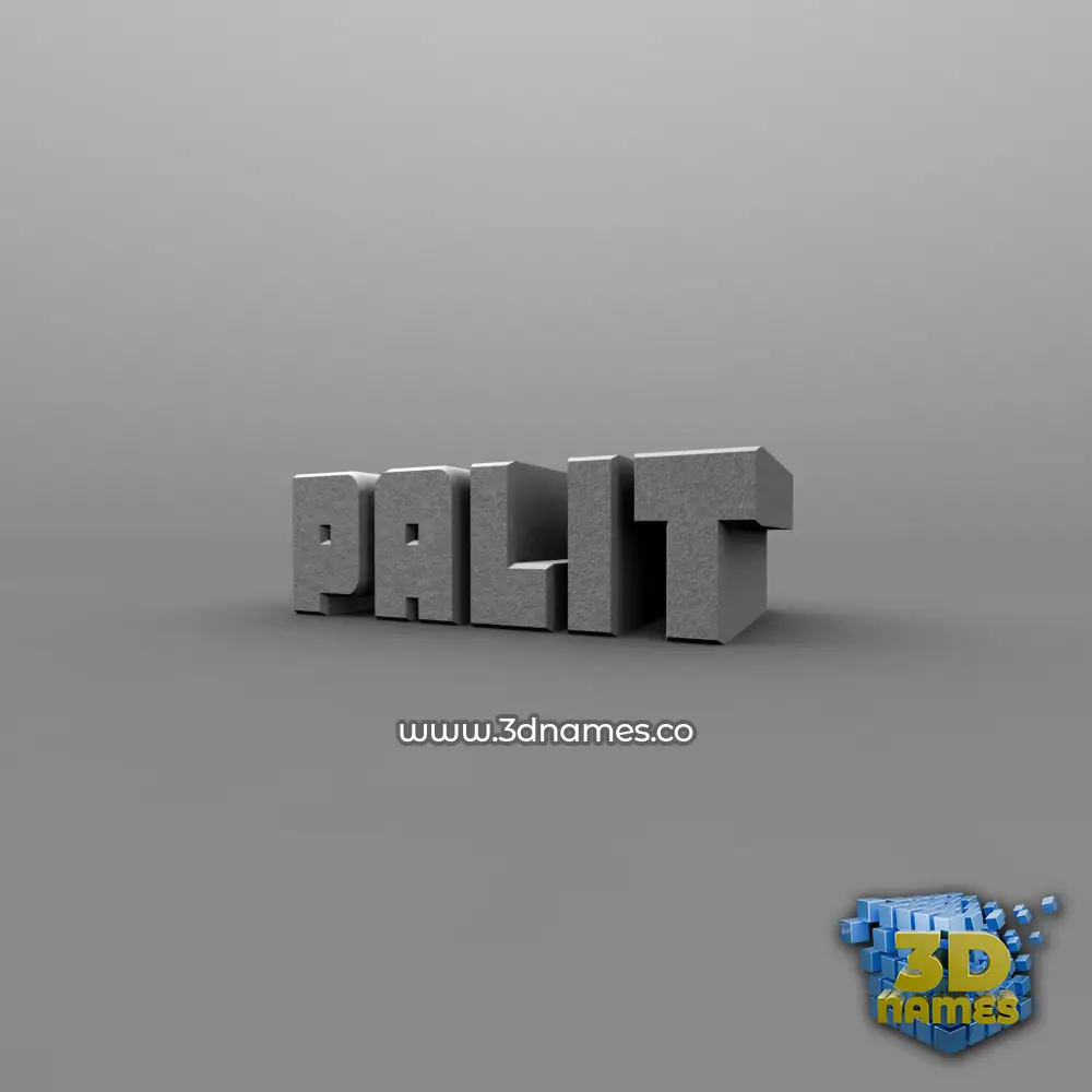 palit in Solid Grey style - 3D name wallpaper
