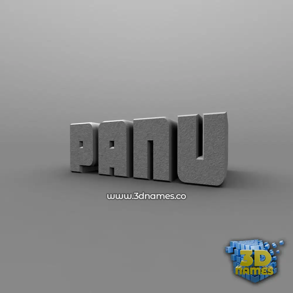 panu in Solid Grey style - 3D name wallpaper