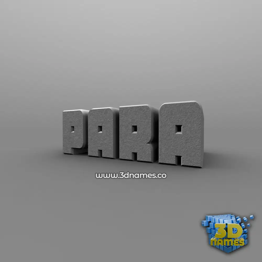 para in Solid Grey style - 3D name wallpaper