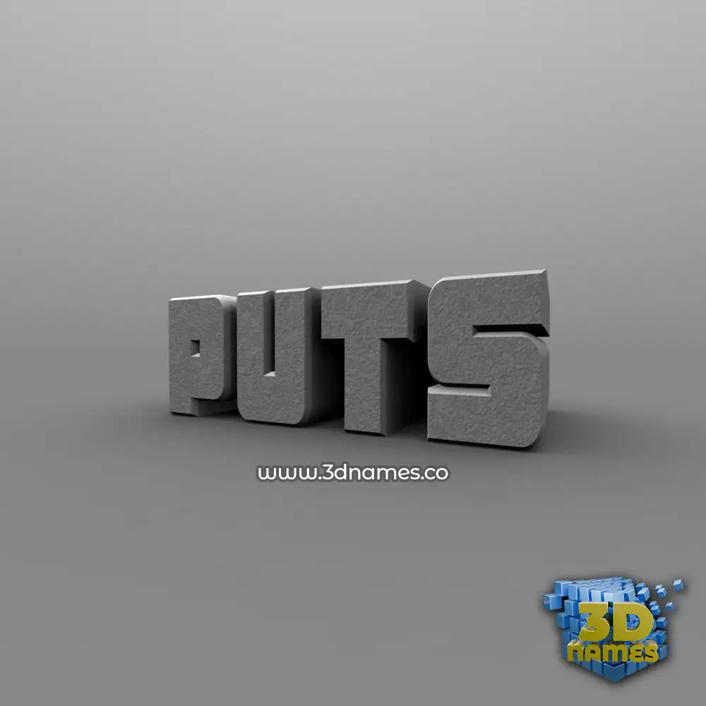 puts in Solid Grey style - 3D name wallpaper