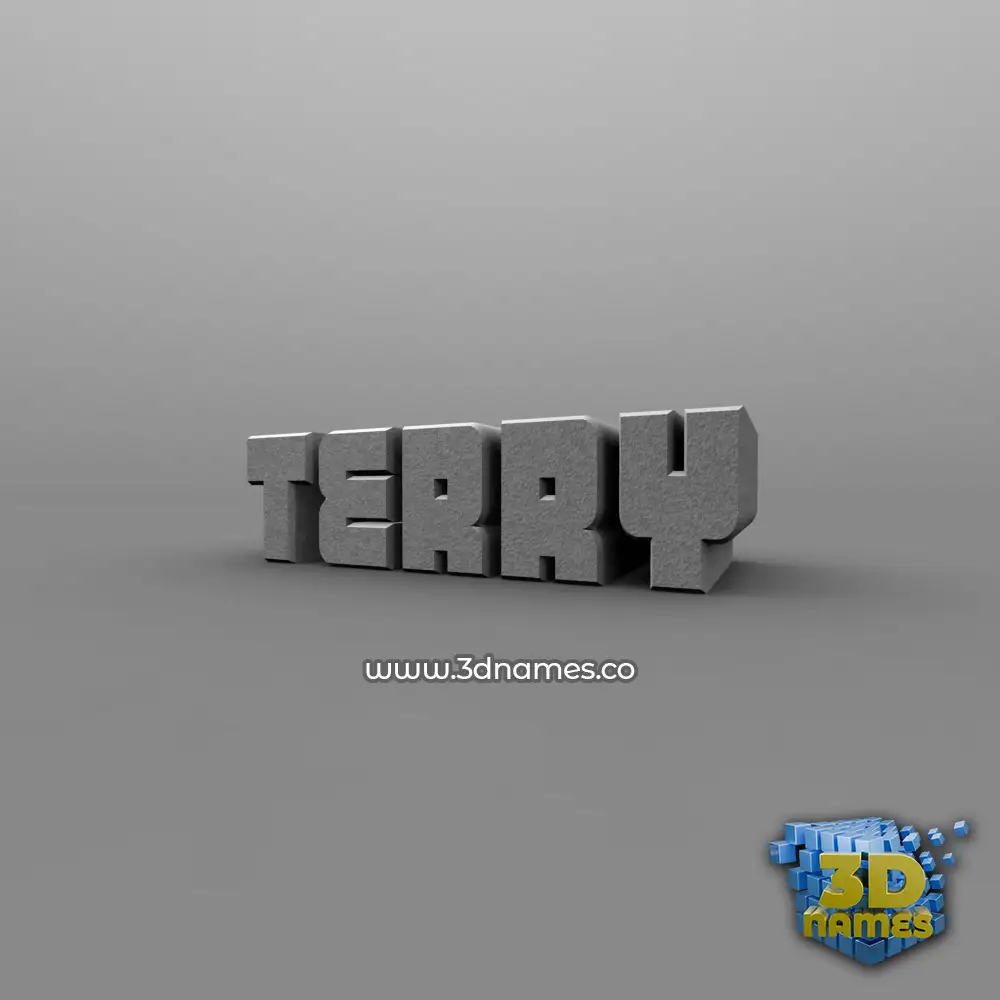 terry in Solid Grey style - 3D name wallpaper