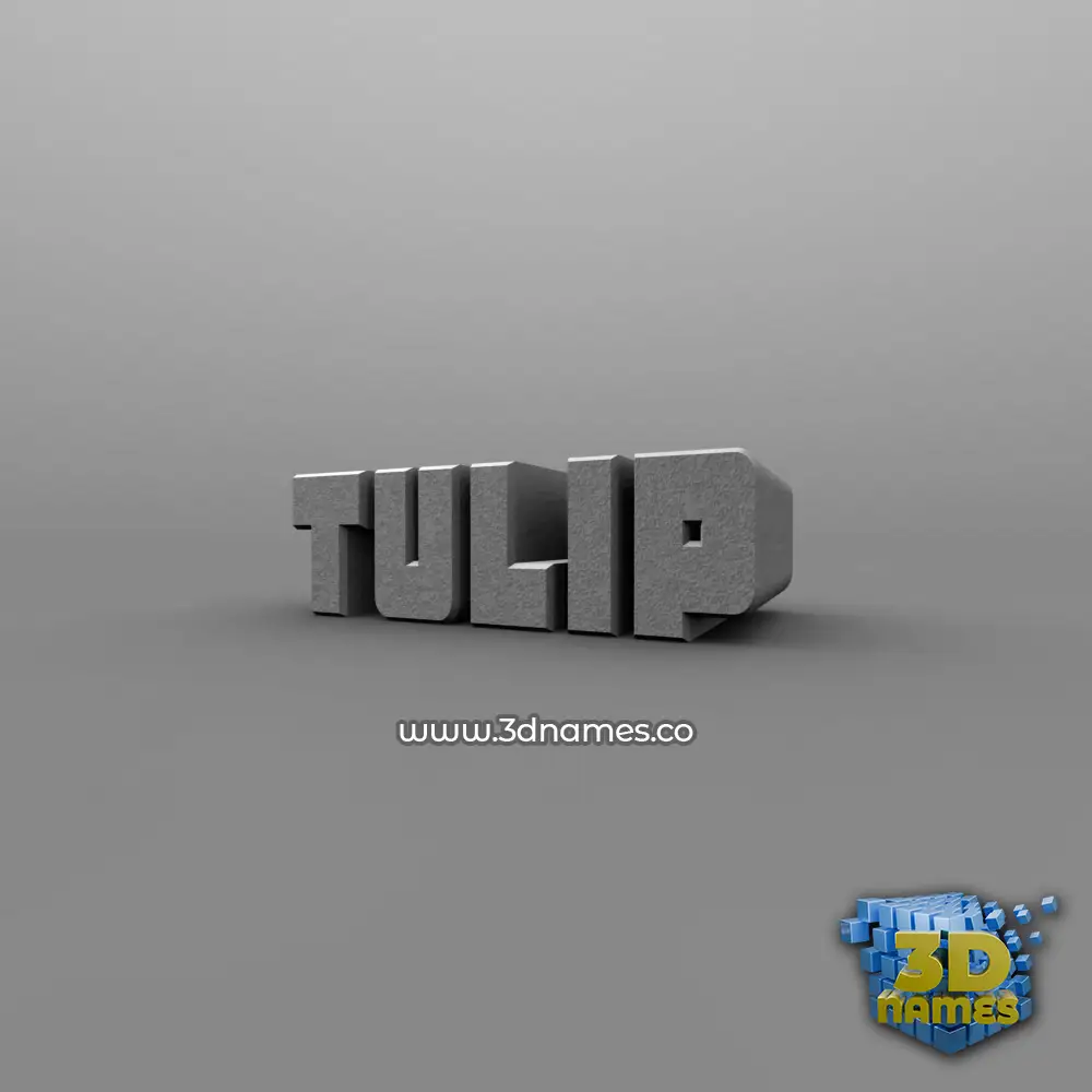 tulip in Solid Grey style - 3D name wallpaper