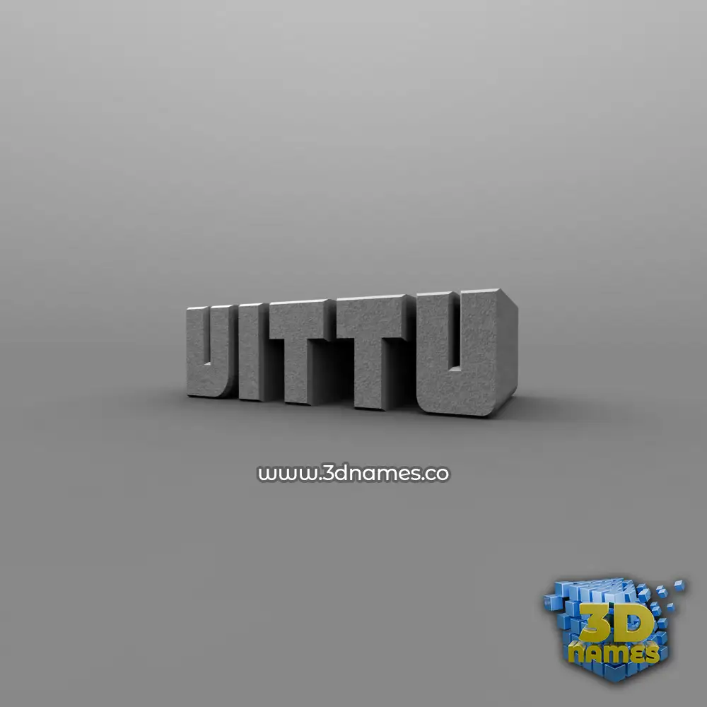 vittu in Solid Grey style - 3D name wallpaper