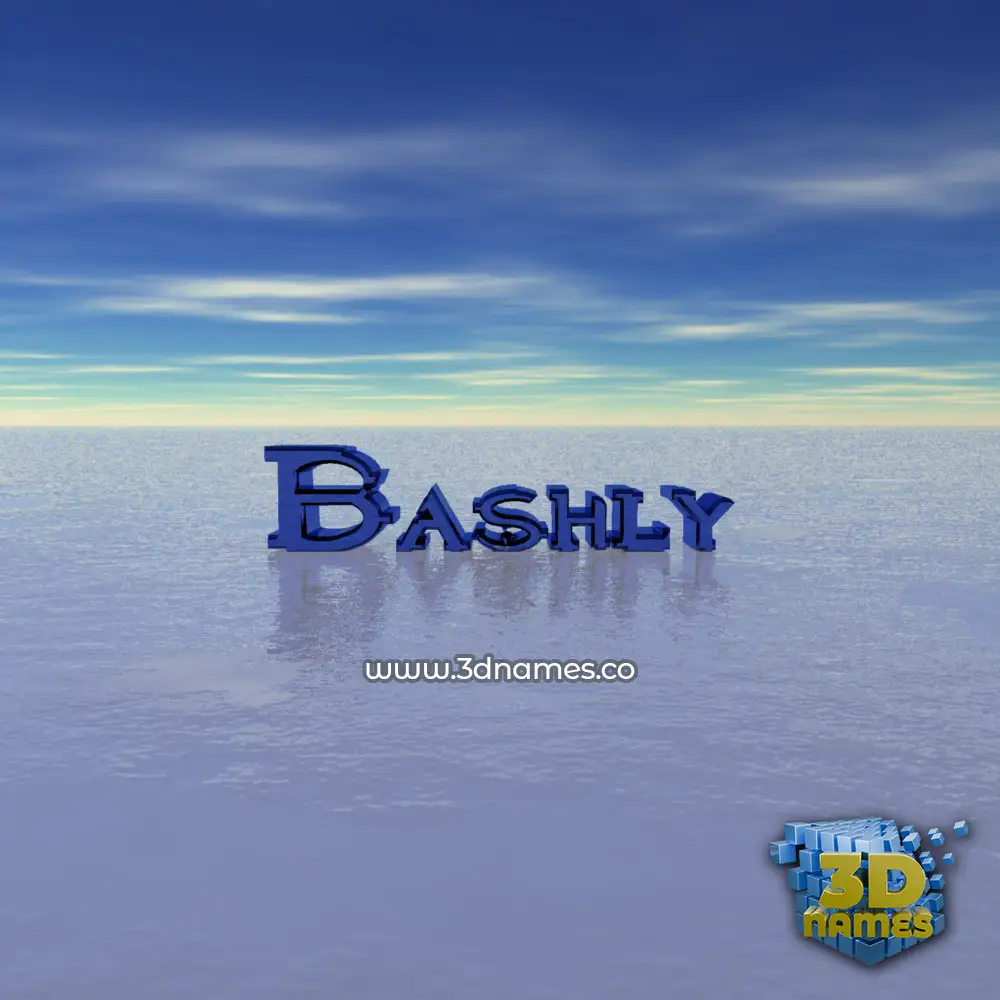 bashly in Horizon style - 3D name wallpaper