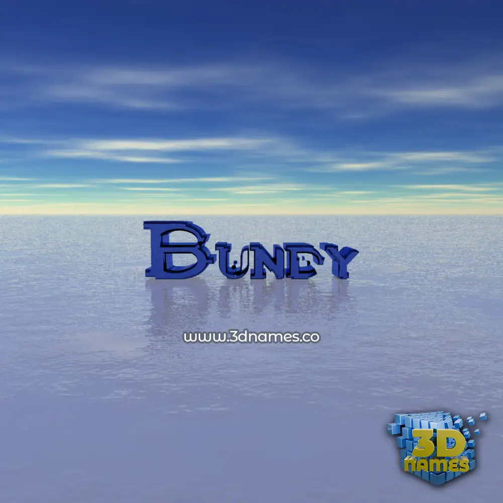 bundy in Horizon style - 3D name wallpaper