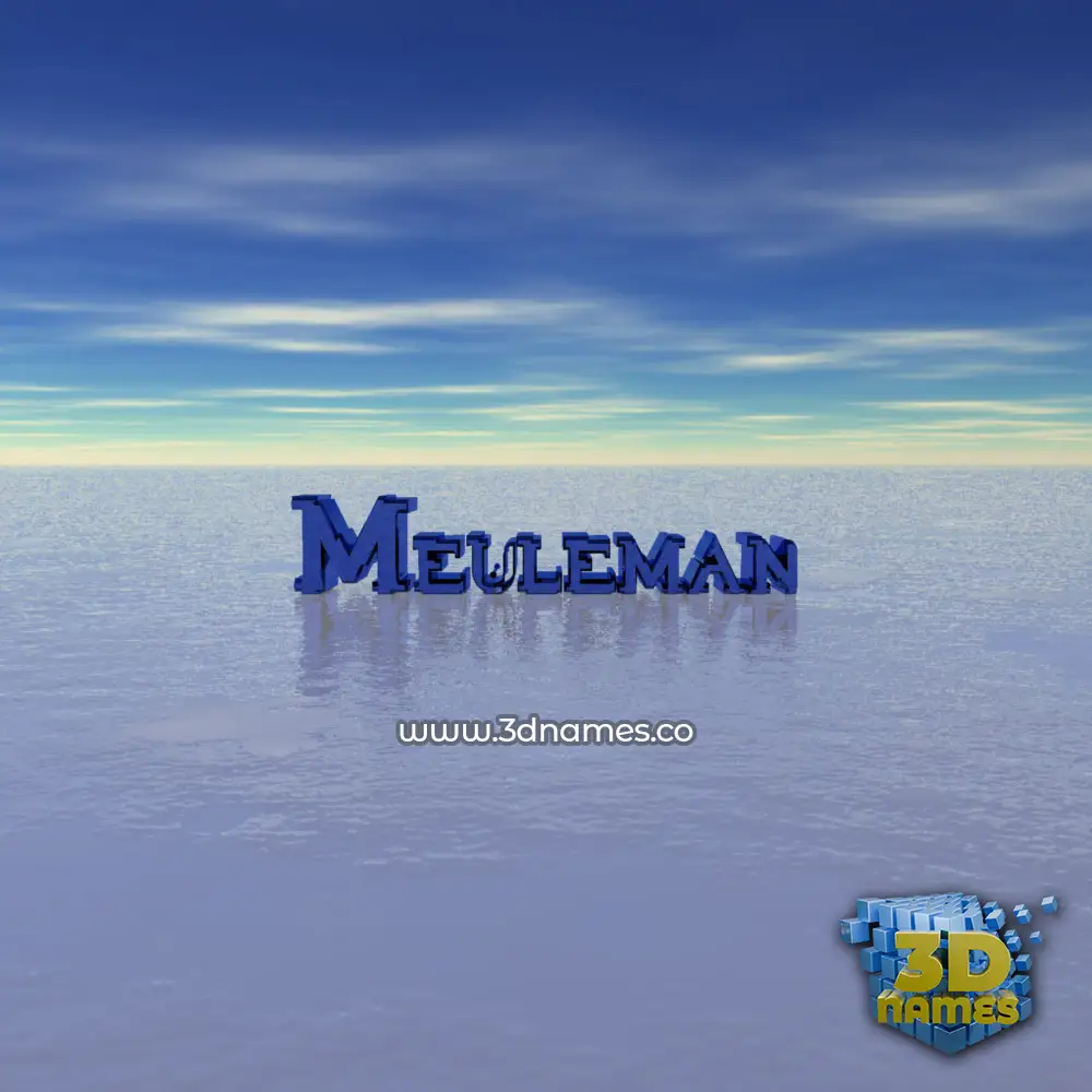 meuleman in Horizon style - 3D name wallpaper