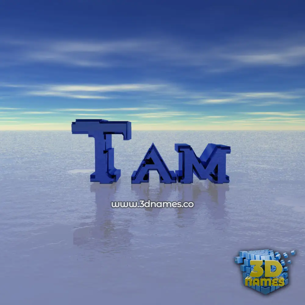 tam in Horizon style - 3D name wallpaper