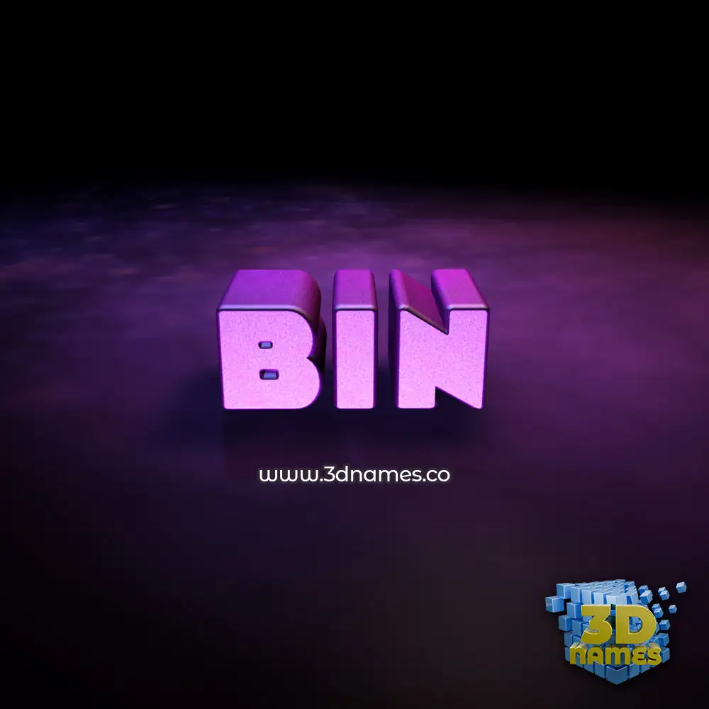 bin in Big Purple style - 3D name wallpaper