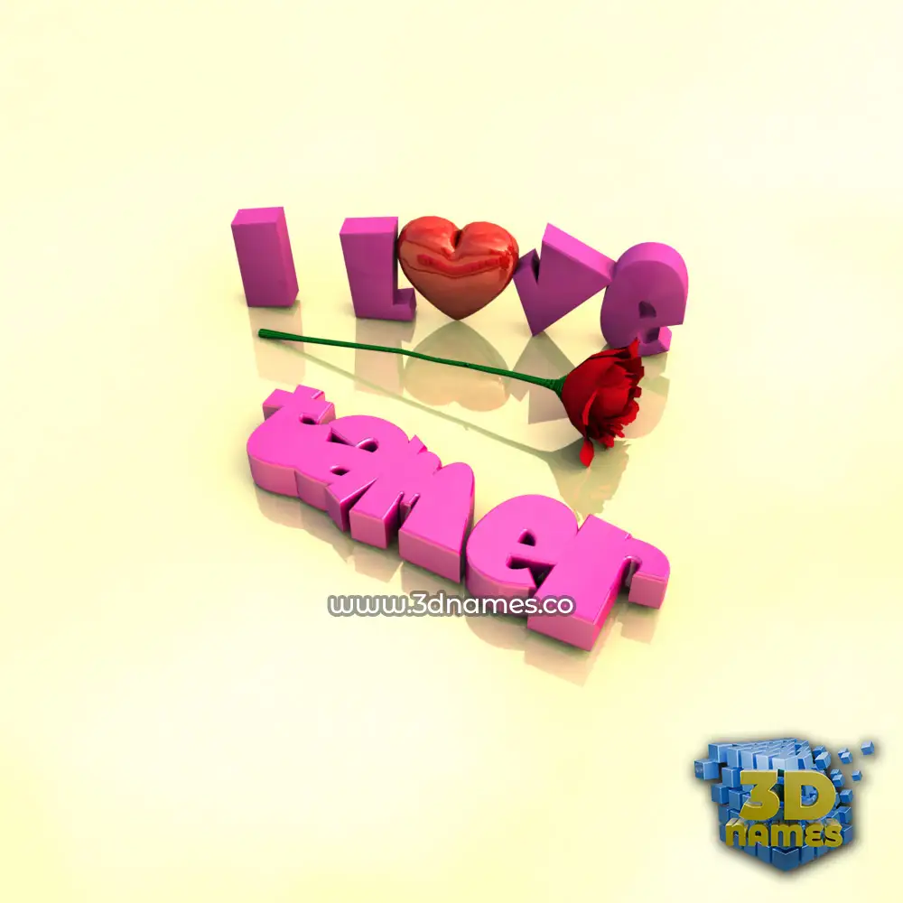 tamer in I Love ??? style - 3D name wallpaper