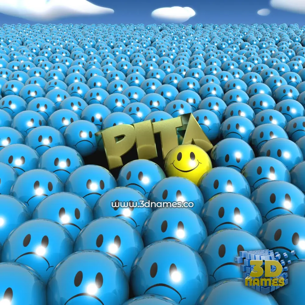 pita in Special Smileys style - 3D name wallpaper