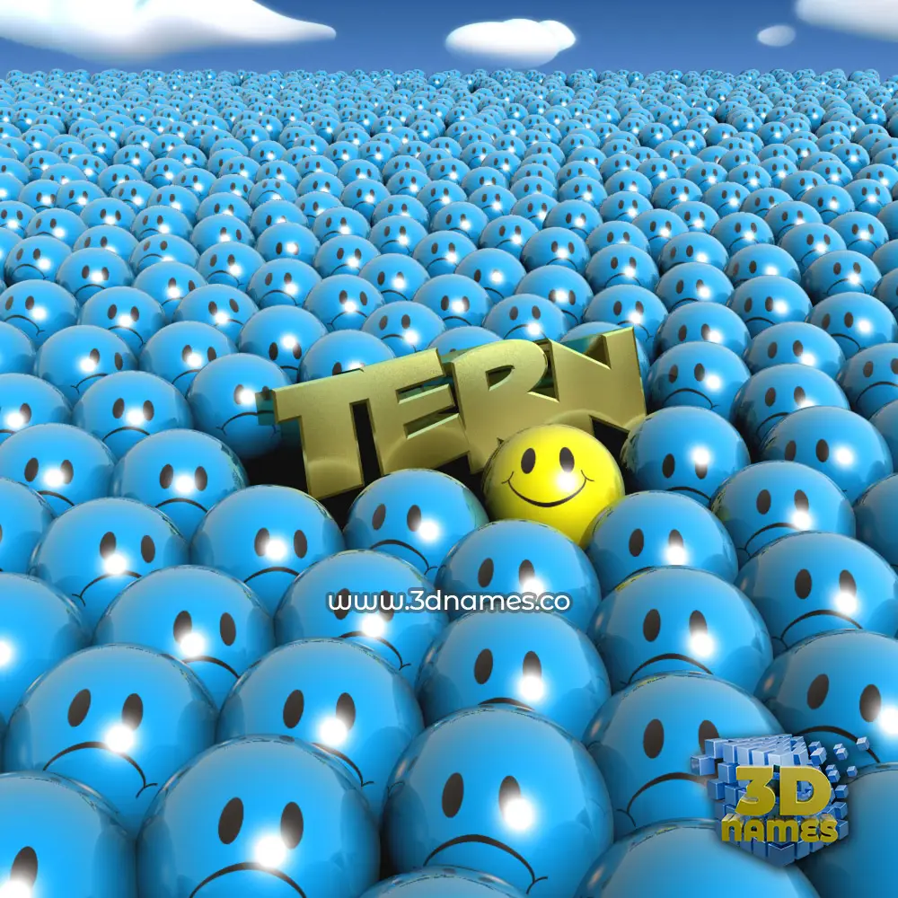 tern in Special Smileys style - 3D name wallpaper
