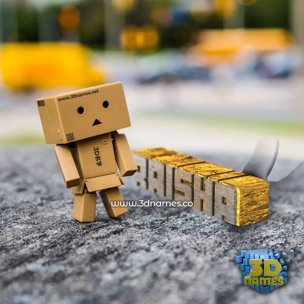 raisha in Hello Danbo style - 3D name wallpaper