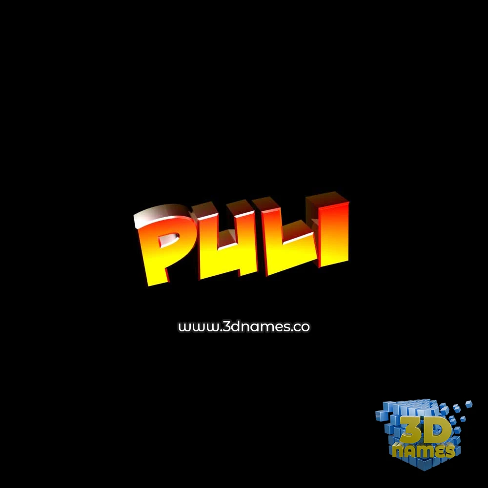 puli in Black Background style - 3D name wallpaper
