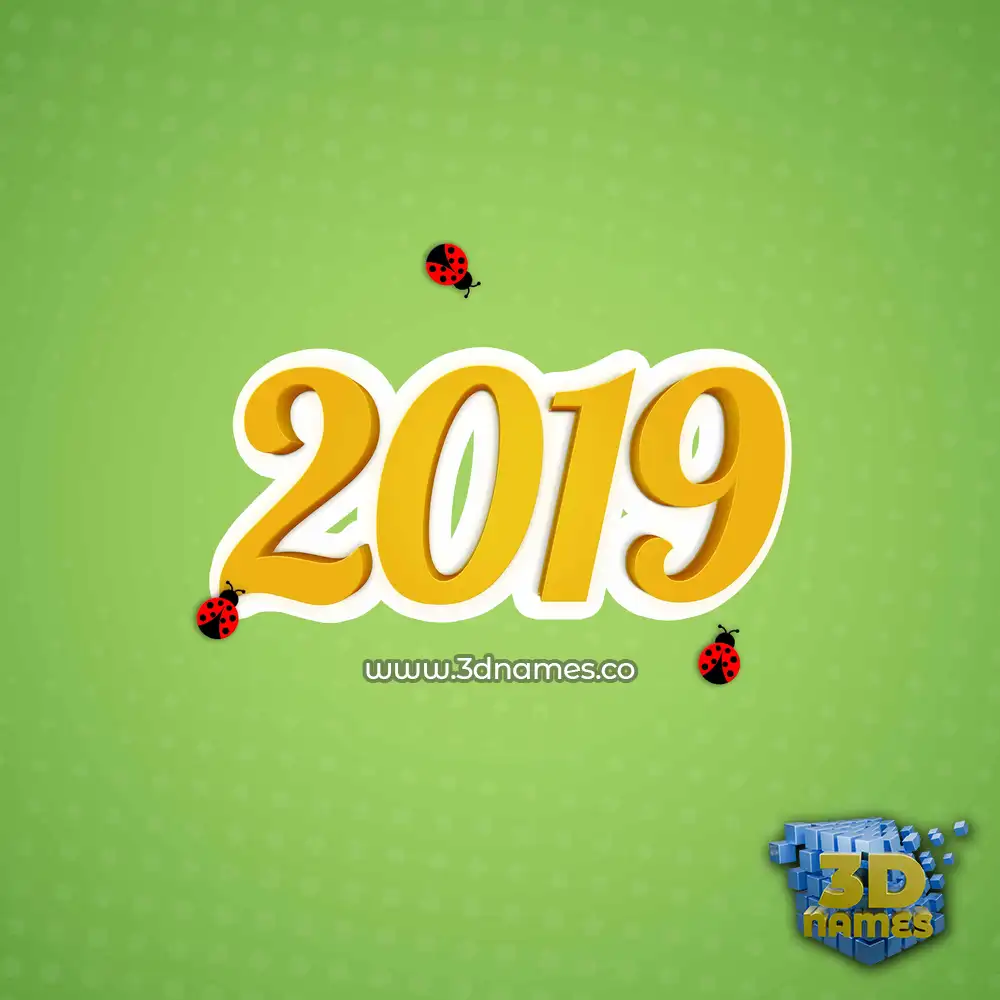 2019 in Ladybugs style - 3D name wallpaper
