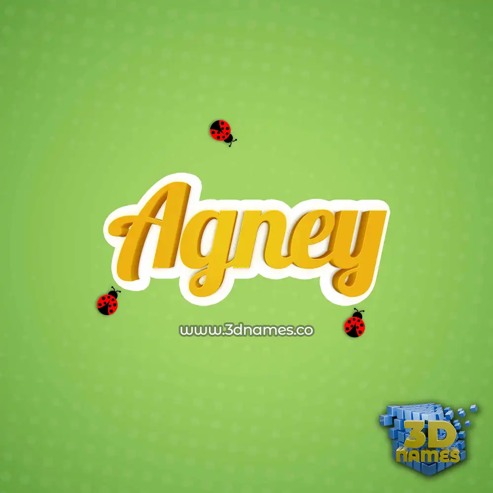 agney in Ladybugs style - 3D name wallpaper