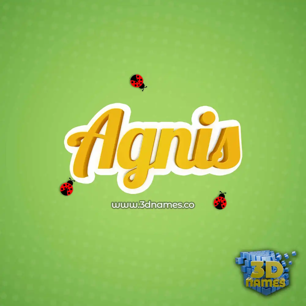 agnis in Ladybugs style - 3D name wallpaper
