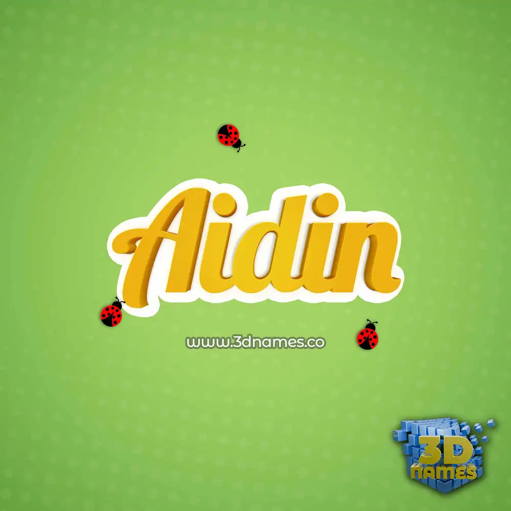 aidin in Ladybugs style - 3D name wallpaper