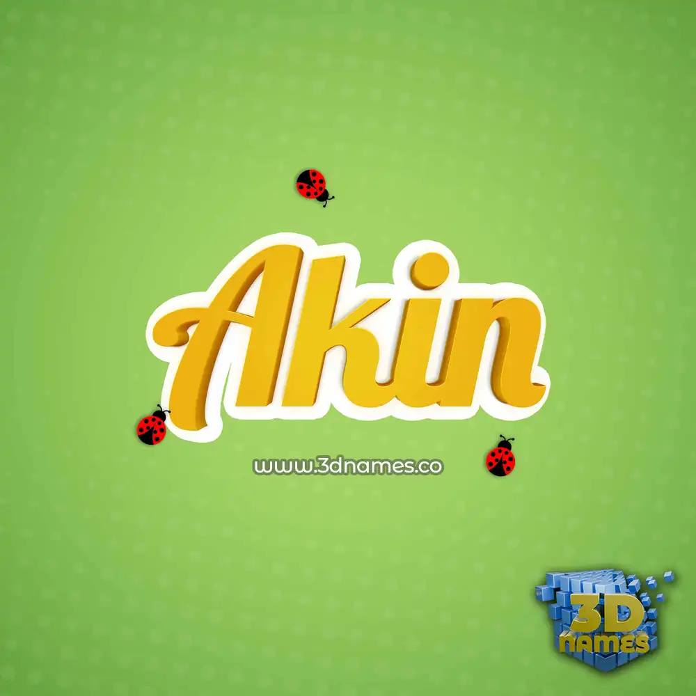 akin in Ladybugs style - 3D name wallpaper