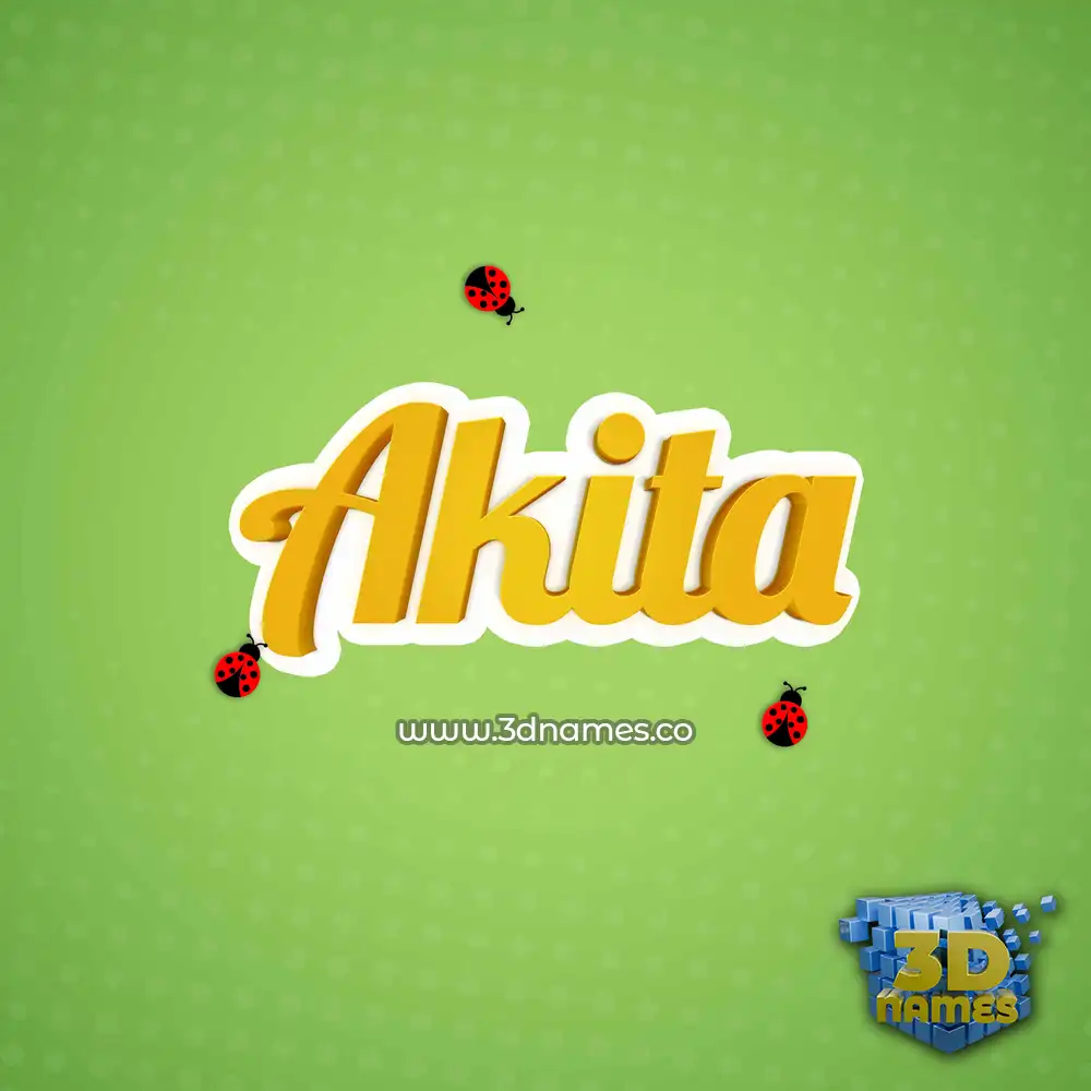 akita in Ladybugs style - 3D name wallpaper