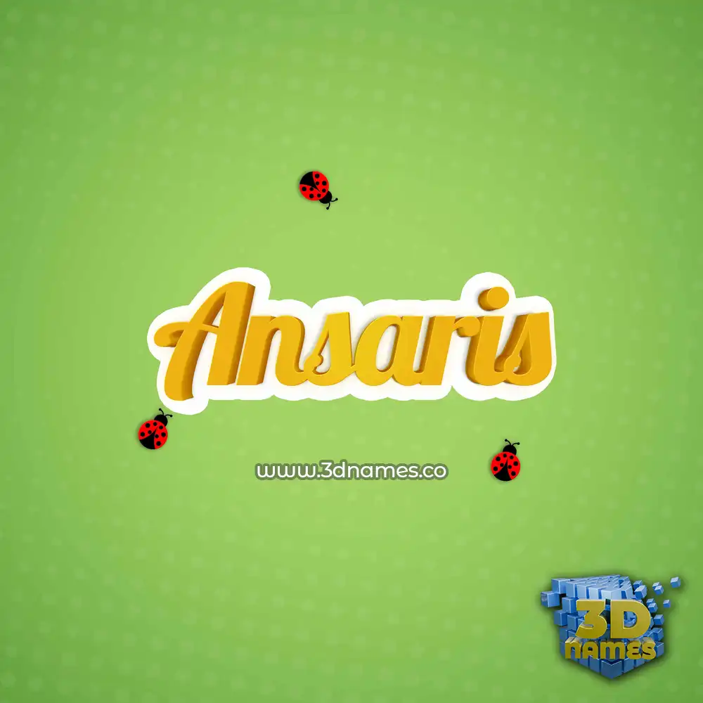 ansaris in Ladybugs style - 3D name wallpaper