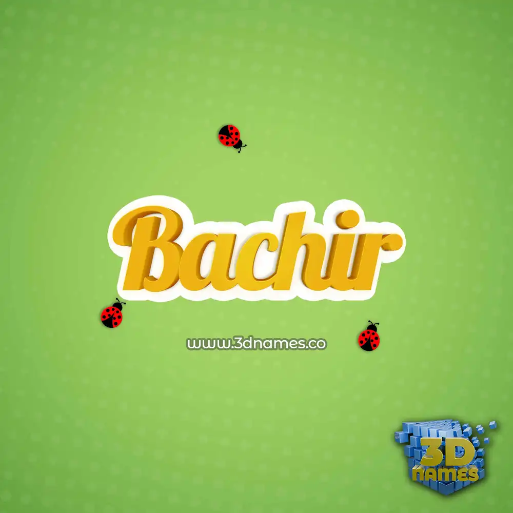 bachir in Ladybugs style - 3D name wallpaper
