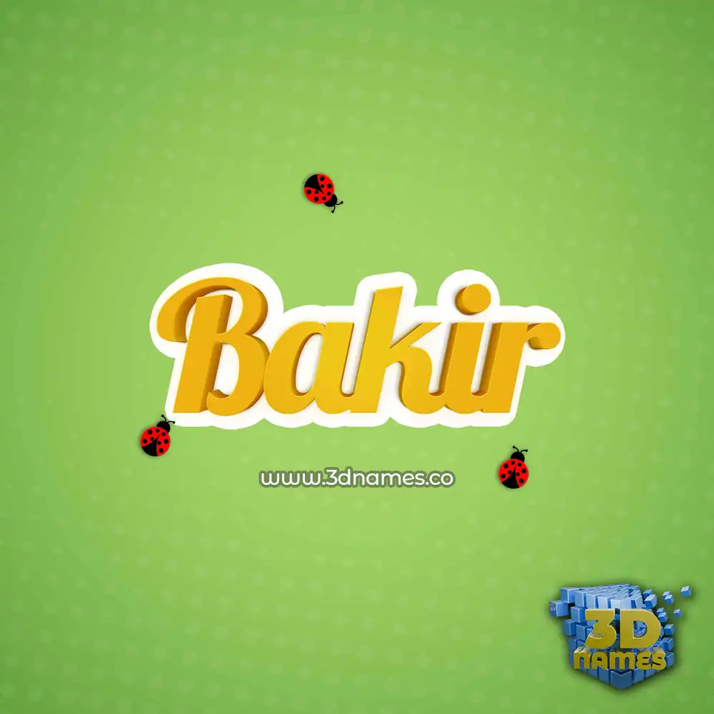 bakir in Ladybugs style - 3D name wallpaper