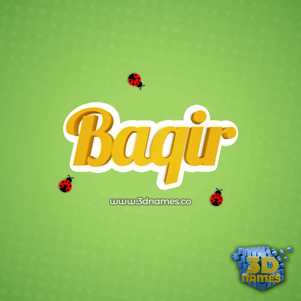 baqir in Ladybugs style - 3D name wallpaper